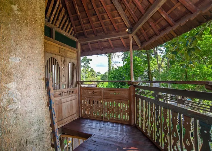 Tree House Ubud (Bali)