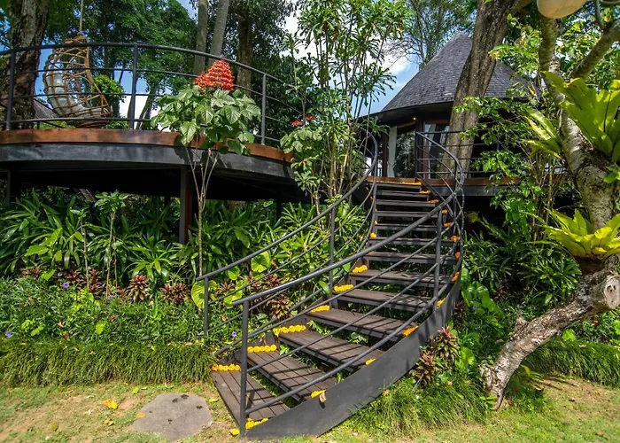 Tree House