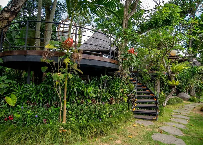 Villa Tree House