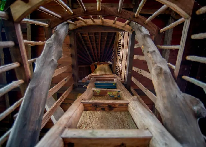 Tree House Villa