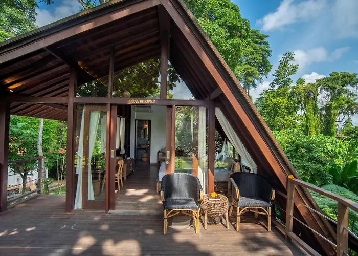 Tree House *