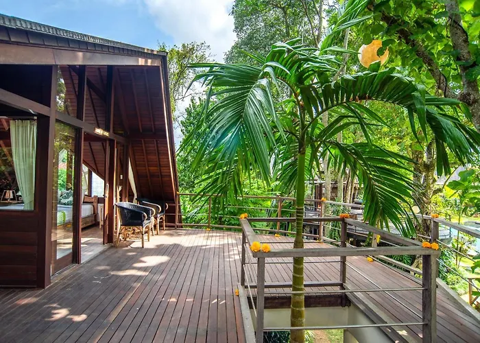 Tree House *
