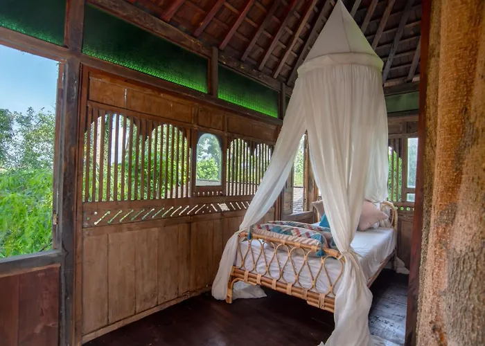Villa Tree House *