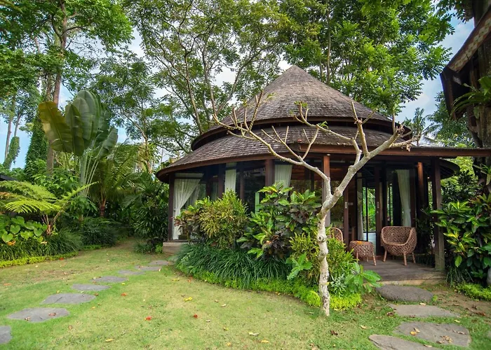 Tree House *
