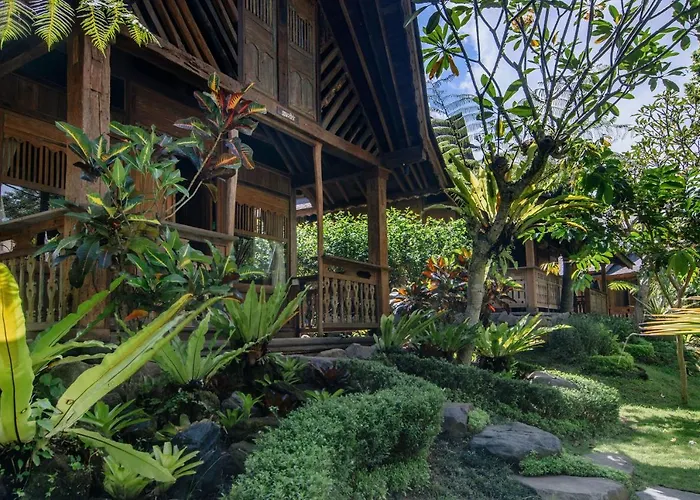 Villa Tree House