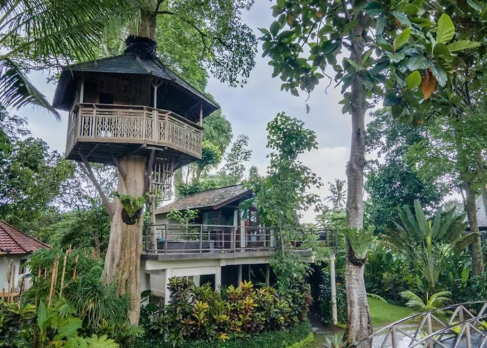 Tree House *